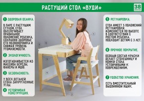 Комплект растущий стол и стул 38 попугаев «Вуди» (Серый, Без покрытия) в Краснокамске - krasnokamsk.mebel-74.com | фото