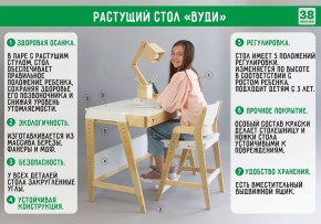 Комплект растущий стол и стул с чехлом 38 попугаев «Вуди» (Белый, Белый, Салют) в Краснокамске - krasnokamsk.mebel-74.com | фото