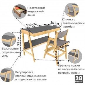 Комплект растущий стол и стул с чехлом 38 попугаев «Вуди» (Серый, Береза, Серый) в Краснокамске - krasnokamsk.mebel-74.com | фото