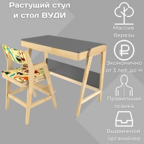 Комплект растущий стол и стул с чехлом 38 попугаев «Вуди» (Серый, Без покрытия, Монстры) в Краснокамске - krasnokamsk.mebel-74.com | фото