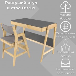 Комплект растущий стол и стул с чехлом 38 попугаев «Вуди» (Серый, Без покрытия, Серый) в Краснокамске - krasnokamsk.mebel-74.com | фото
