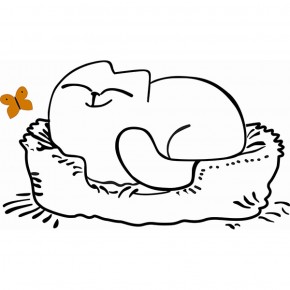 Кровать двухуровневая Кот № 900.1 ЛЕВАЯ (туя светлая/белый) в Краснокамске - krasnokamsk.mebel-74.com | фото