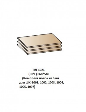 ПЛ-1021 (Комплект полок из 3 шт для ШК-1001, 1002, 1003, 1004, 1005, 1007) в Краснокамске - krasnokamsk.mebel-74.com | фото
