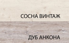 Шкаф 2D1S, MONAKO, цвет Сосна винтаж/дуб анкона в Краснокамске - krasnokamsk.mebel-74.com | фото