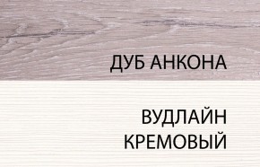 Шкаф 2DG, OLIVIA, цвет вудлайн крем/дуб анкона в Краснокамске - krasnokamsk.mebel-74.com | фото