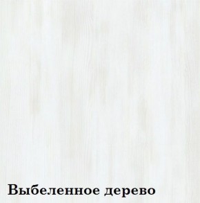 Шкаф 6-ти секционный Люкс 6 Плюс ЛДСП Стандарт (фасад Зеркало) в Краснокамске - krasnokamsk.mebel-74.com | фото