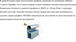 Шкаф-купе 1500 серии SILVER S5+S5+B2+PL3 (2 ящика+2 штанги) профиль «Серебро» в Краснокамске - krasnokamsk.mebel-74.com | фото