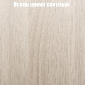 Шкаф-купе «ТАНДЕМ» 2-х дверный в алюминиевом профиле (Дверь К+К) 1200/h2200 в Краснокамске - krasnokamsk.mebel-74.com | фото