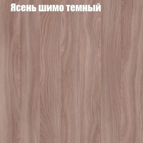 Шкаф-купе «ТАНДЕМ» 2-х дверный в алюминиевом профиле (Дверь ЛДСП+ЛДСП) 1200/h2200 в Краснокамске - krasnokamsk.mebel-74.com | фото
