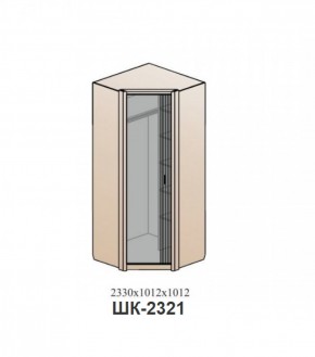 Шкаф ШЕР Дуб серый/айронвуд серебро (ШК-2321) в Краснокамске - krasnokamsk.mebel-74.com | фото