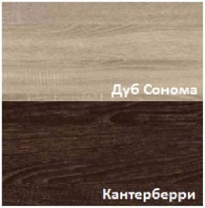 Стенка Рио в Краснокамске - krasnokamsk.mebel-74.com | фото