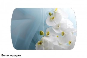 Стол Бостон 900*600 (опоры Брифинг) Стекло/фотопечать Белая Орхидея в Краснокамске - krasnokamsk.mebel-74.com | фото