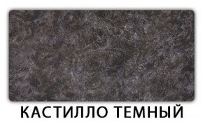 Стол обеденный Трилогия пластик Тростник в Краснокамске - krasnokamsk.mebel-74.com | фото