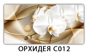 Стол раздвижной Трилогия с фотопечатью Доска D110 в Краснокамске - krasnokamsk.mebel-74.com | фото
