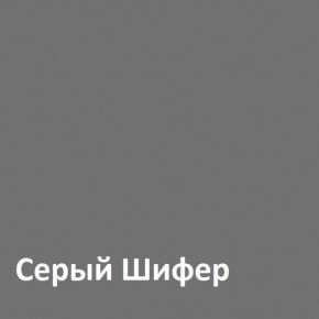 Юнона Шкаф торцевой 13.221 в Краснокамске - krasnokamsk.mebel-74.com | фото